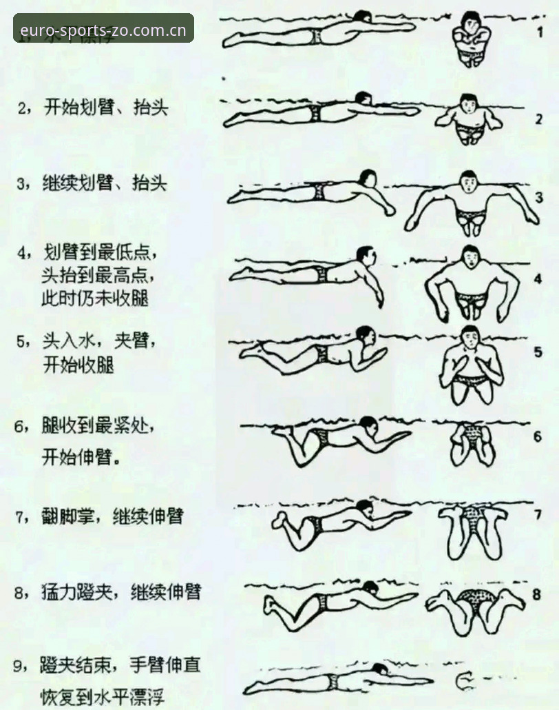 中欧体育娱乐教程 新手必看!中欧体育娱乐教程背后的真相,一篇文章让你从小白变高手